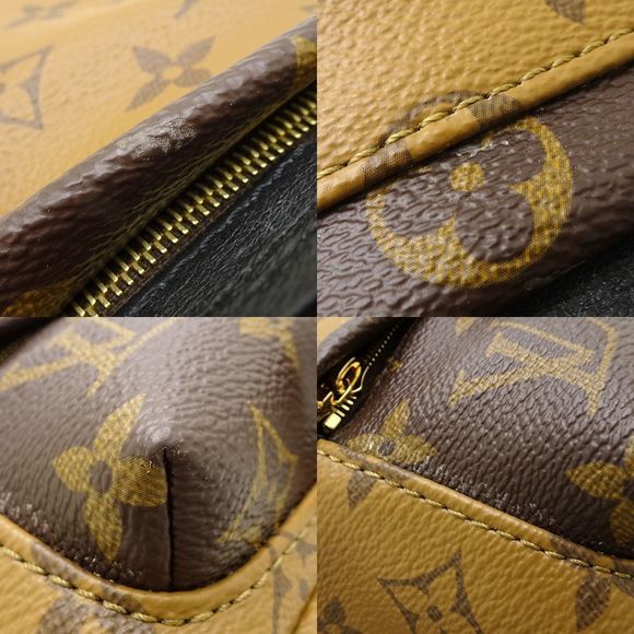 Louis Vuitton Monogram Reverse Palm Springs Mini Backpack - Picture 5 of 8